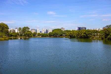 令人惊叹的圣保罗市从巴西伊布拉普拉公园。 伊布拉普拉是拉丁美洲最大的城市公园之一。