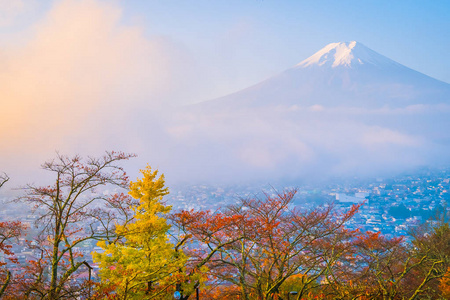 日本大林秋季枫叶树周围美丽的富士山景观，白云蓝天