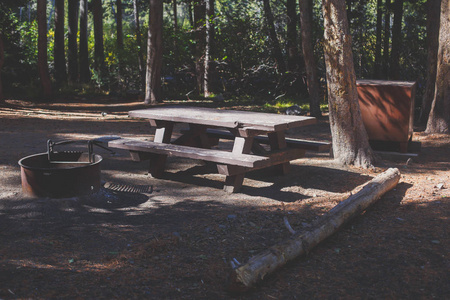 美国露营地营地景观，有桌子，火坑，长凳和防熊食品储物柜，在加州猛犸湖，印约，国家森林，美国