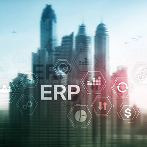 模糊背景下的ERP系统企业资源规划。 业务自动化和创新理念。