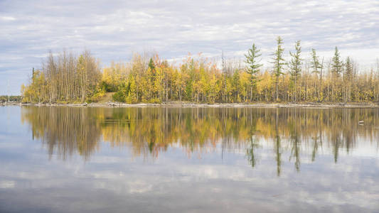秋天的森林反映在水中