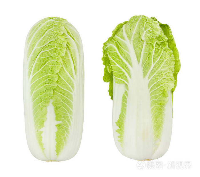 大白菜分离在白色背景上照片-正版商用图片14r7t5-摄图新视界