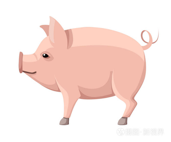 粉红色的大猪,尾巴卷曲. 农场家畜. 扁平风格的动物设计.