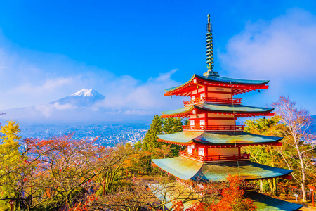 日本大林秋季枫叶树旁有翠藤宝塔的富士山美景