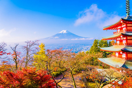 日本大林秋季枫叶树旁有翠藤宝塔的富士山美景