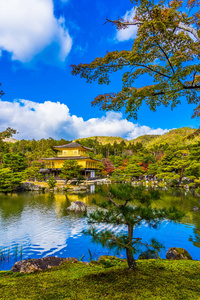 美丽的金阁寺，拥有日本京都的黄金地标