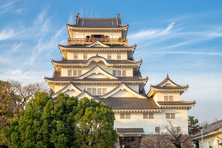 日本藤山城堡立面图