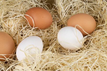 新鲜的鸡蛋在稻草里产卵