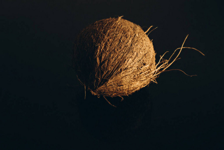 背景上分离的椰子