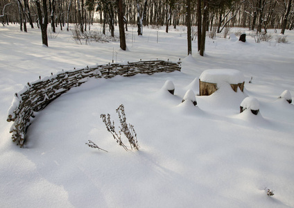 冬季景观森林雪谷