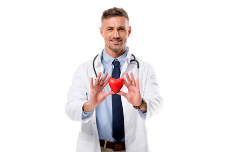 医生穿着白色外套，听诊器看着相机，手里拿着心脏模型，孤立在白色上，心脏保健概念