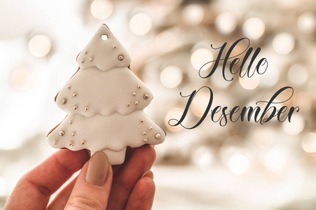 你好, 十二月。拿着饼干形状的圣诞树的女性手。圣诞节的气氛。冬季问候的概念