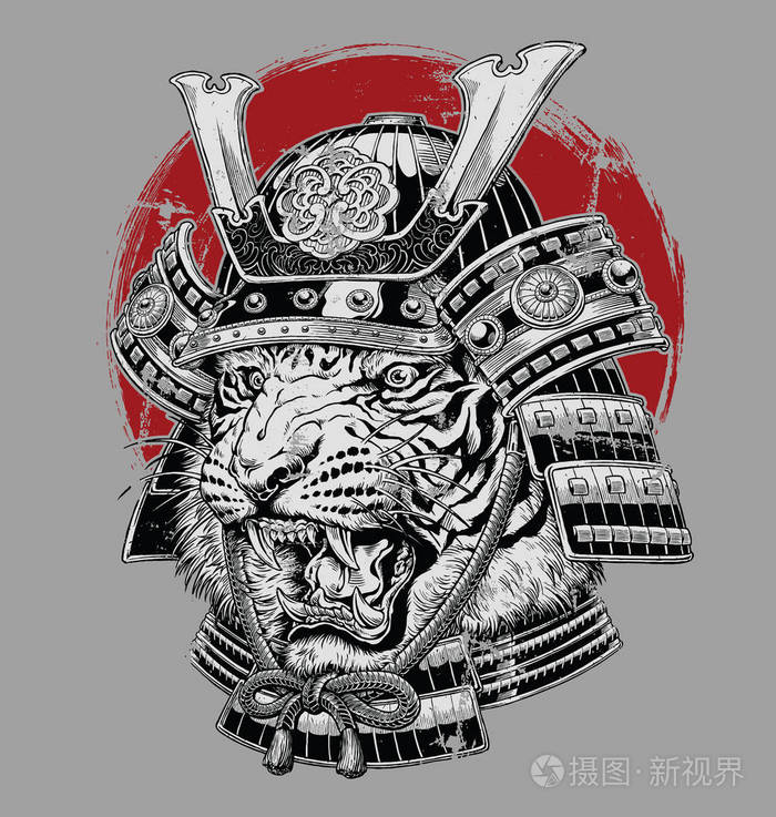 手绘高度详细的日本老虎武士矢量插图灰色地面