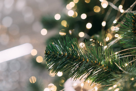圣诞灯挂在一棵树