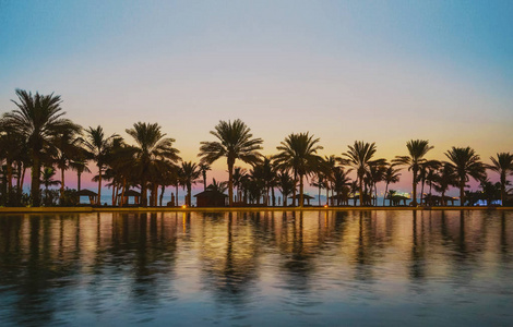 晚上在热带天堂。日落后阿拉伯湾上的棕榈树。迪拜
