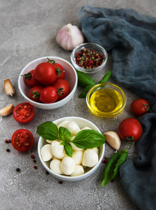 意大利食品原料马扎雷拉罗勒西红柿和香料