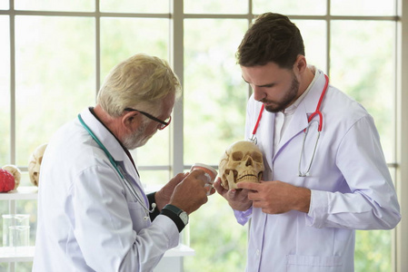 这位老医生向年轻医生解释了生理知识。医生在医院一起工作和使用头骨和塑料脑模型