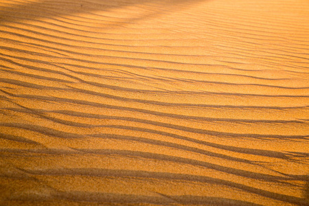 日落前在阿拉伯联合酋长国的沙漠