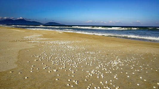 海边沙滩上的椅子。旅游度假度假理念..越南美丽的海滩，达南。