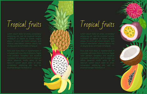 热带水果横幅与异国情调的食物和叶子