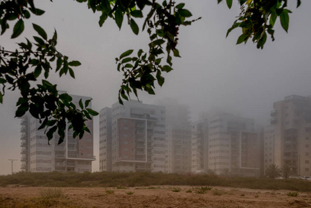 早上在雾中的住宅区。 夏天以色列阿什克伦。