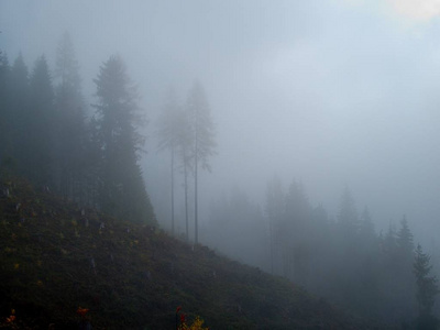 雾蒙蒙的秋天天气在高山自然图片