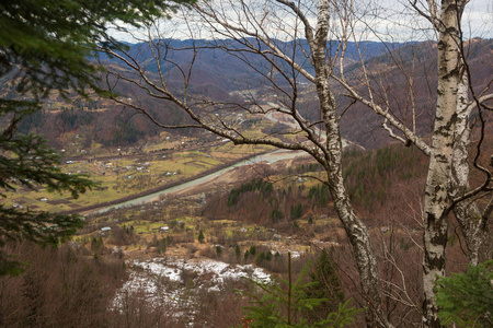 冬天, 山, 森林。冬天在山里