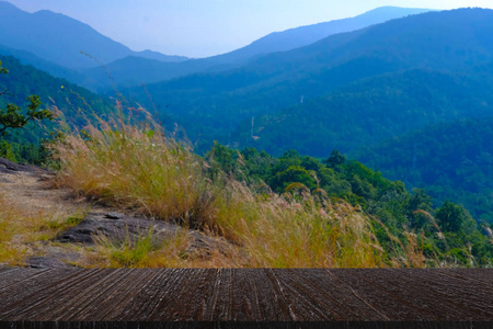 林山山自然夏日风景用木桌展示产品