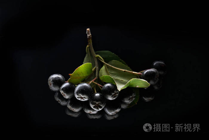 黑色选择浆果在黑色背景被隔绝