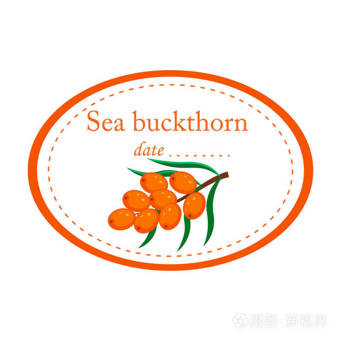在白色背景上隔离的沙棘标签矢量设计