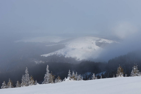 白雪覆盖的乌克兰喀尔巴阡山美丽的冬季景观