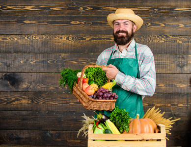 新鲜的有机蔬菜在柳条篮和木箱。男人开朗的胡须农民附近的蔬菜木制背景。农民草帽呈现新鲜蔬菜。农民与土生土长的蔬菜