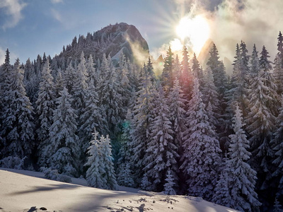 冬天的风景，树和山在日出的光线下覆盖着雪和霜