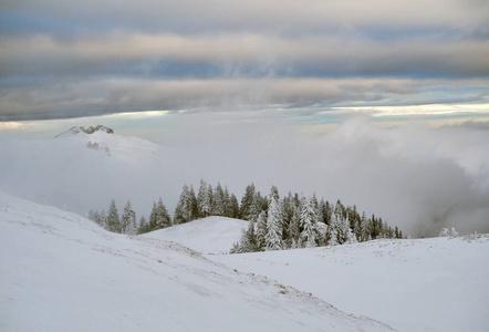 冬天的风景，树木和山脉覆盖着雪和霜