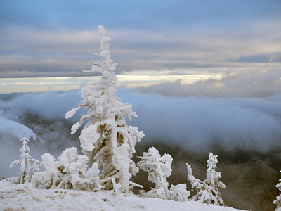 冬天的风景，树木和山脉覆盖着雪和霜