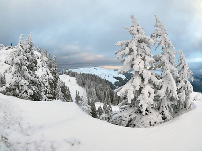 冬天的风景，树木和山脉覆盖着雪和霜