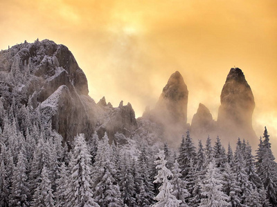 冬天的风景，树和山在日出的光线下覆盖着雪和霜