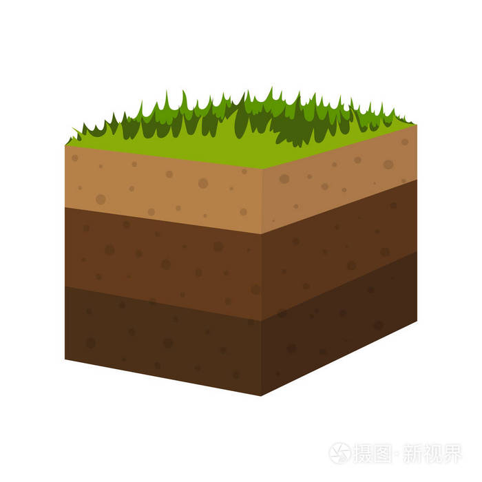 有地下层的土壤,有无缝地,有一层草