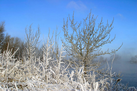 冬天的风景，霜冻的雾蒙蒙的早晨，在河上和树在霜冻