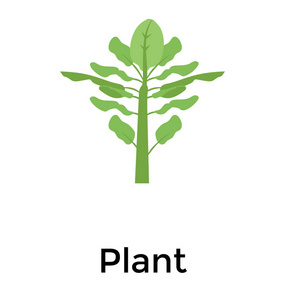 生长的植物平面图标