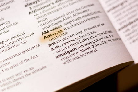 用标记突出显示的字典中的单词或短语am。
