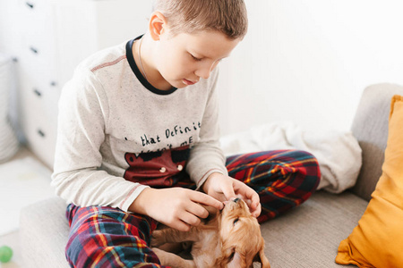 高加索男孩在家玩狗英语公鸡猎犬小狗。 儿童和宠物一起