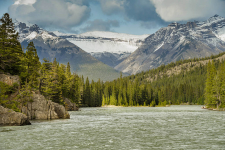 加拿大班夫2018年6月弓河的景观景观，流经班夫与高雪盖山的背景。