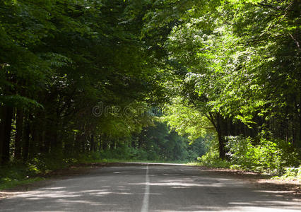 林间小路