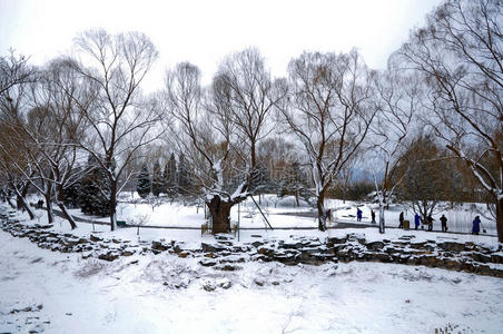 雪覆盖了颐和园