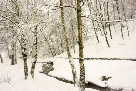 冬季景观。 雪地里的树。 城市公园。 长椅溪流