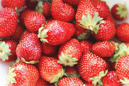 新鲜收获的成熟多汁草莓的自然背景。 许多新鲜的红色浆果，上面有绿叶。