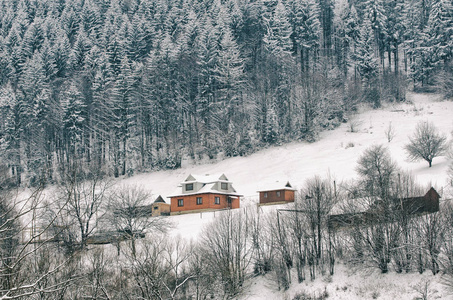 雪覆盖了山丘，森林和远处的房子。 冬季景观