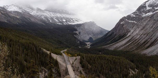 秋天季节加拿大落基山脉风景道的空中全景。 被带到冰田pkwy JasperAlberta加拿大。