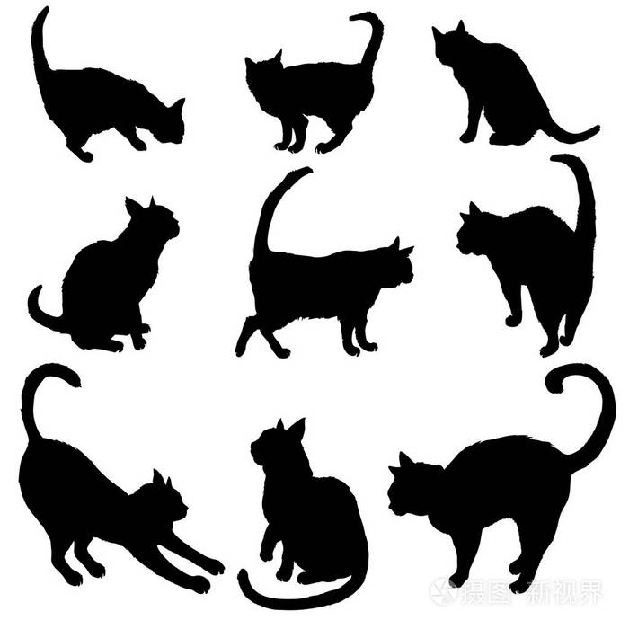 一组猫在白色背景上的轮廓.